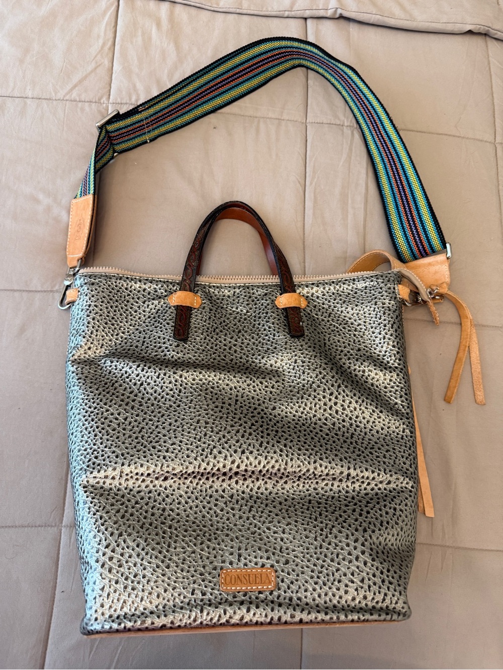 Consuela Silver Textured Tote with Multicolor Web Strap